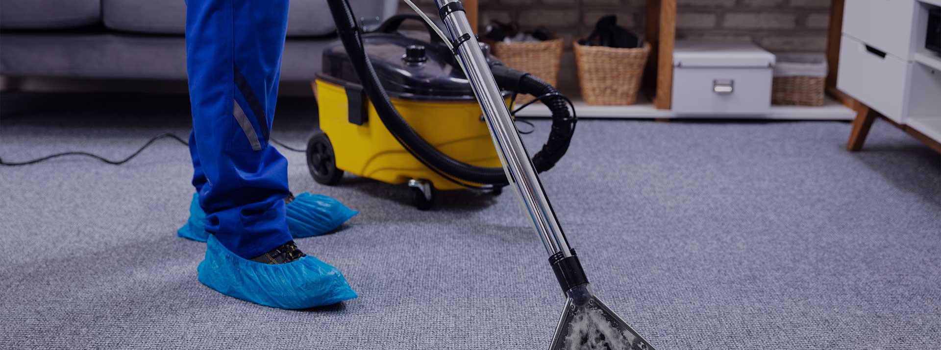 Carpet Cleaning Wrose